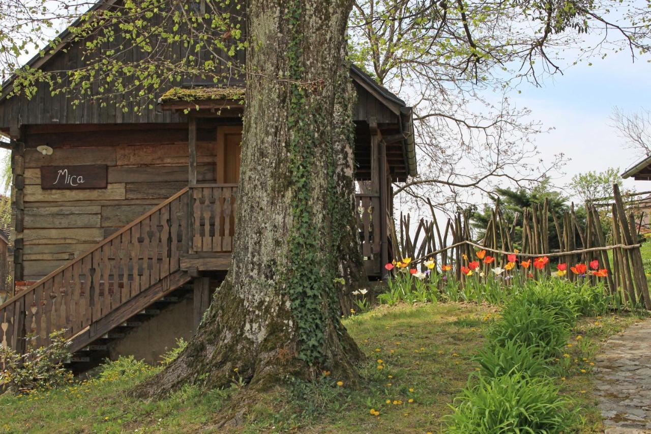 Pension Vuglec Breg Krapina Extérieur photo
